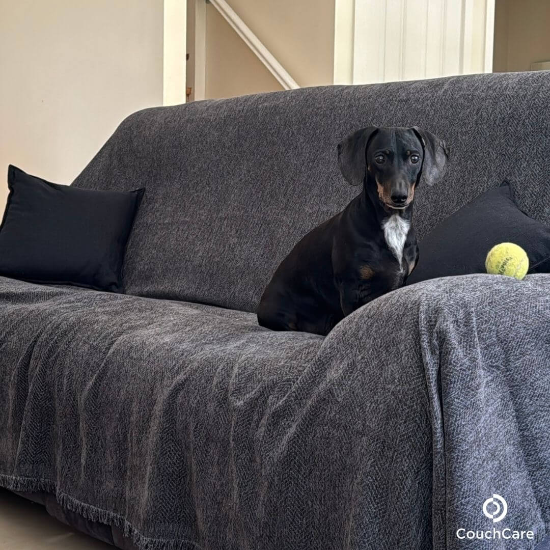 CouchCare™️ Couch Protector