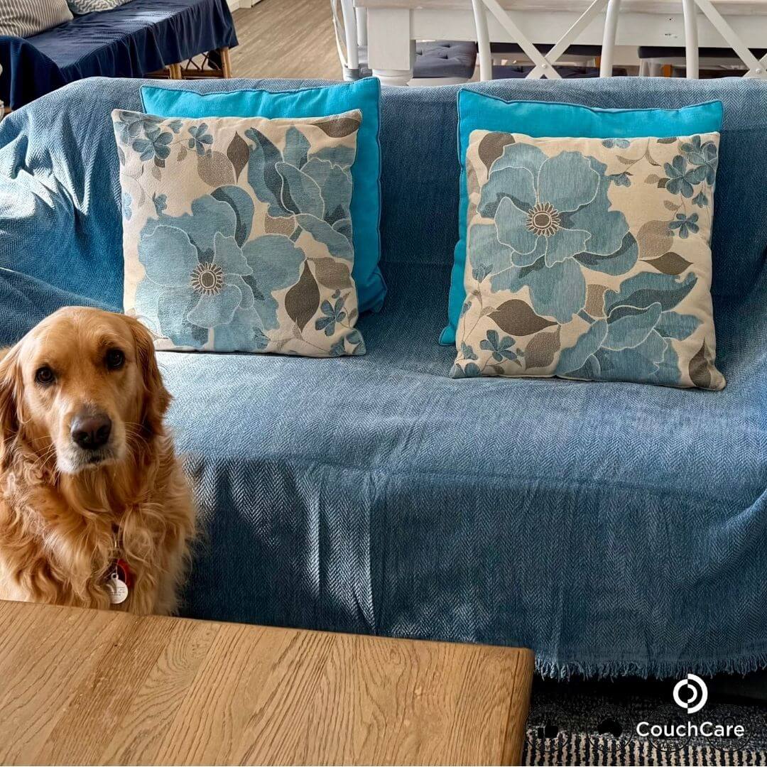 CouchCare™️ Couch Protector