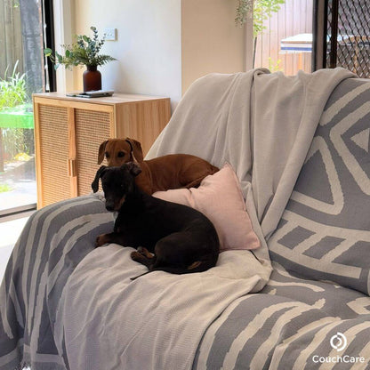 CouchCare™️ Couch Protector