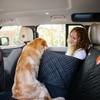 Single Dog Car Seat