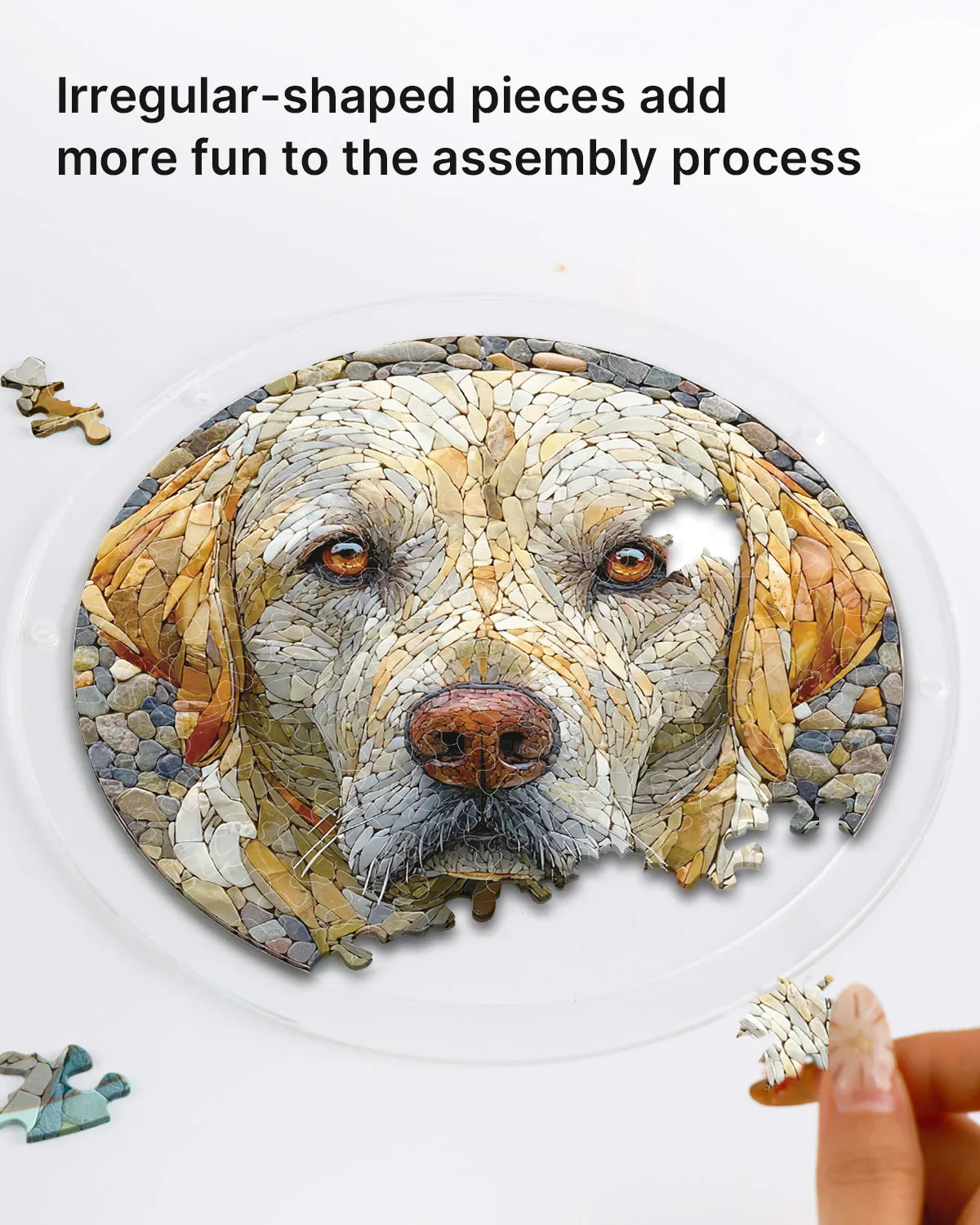 Stone Dog Light Puzzle Suncatcher