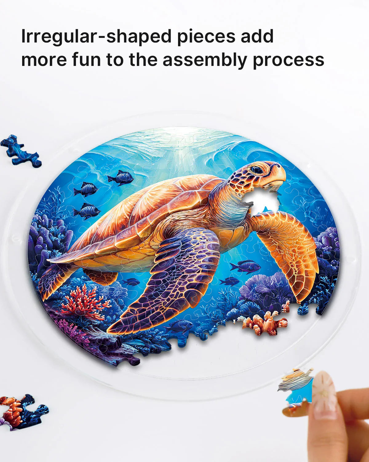Starsea Turtle Light Puzzle Suncatcher