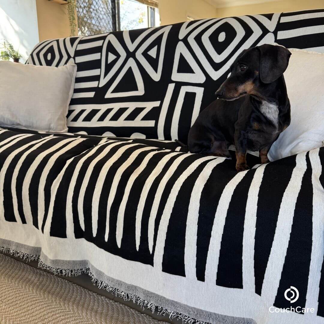 CouchCare™️ Couch Protector