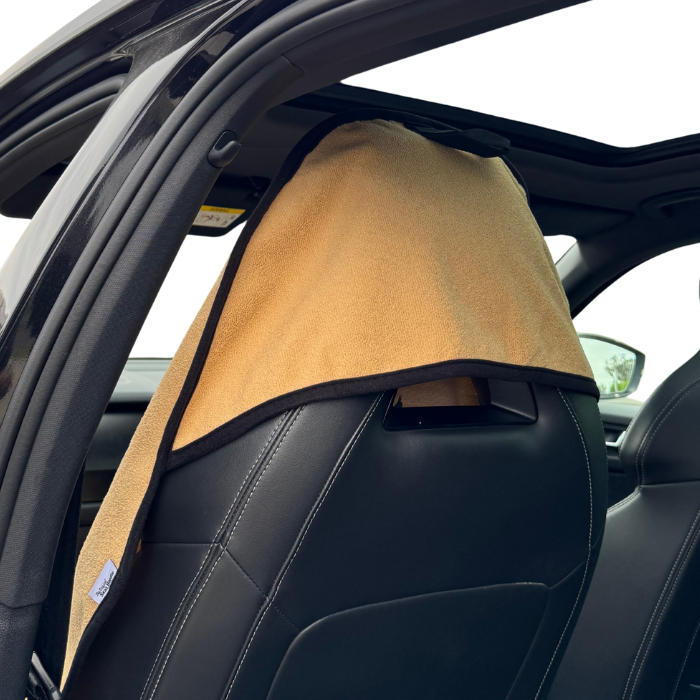 Front Seat Hoodie