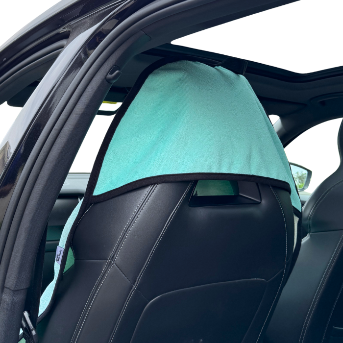 Front Seat Hoodie