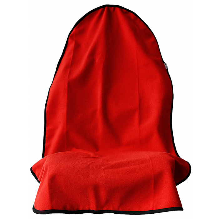 Front Seat Hoodie